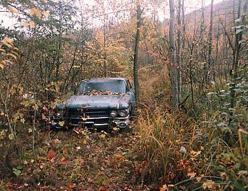 abandoned_59cadillac_fall1992.jpg (62383 bytes)