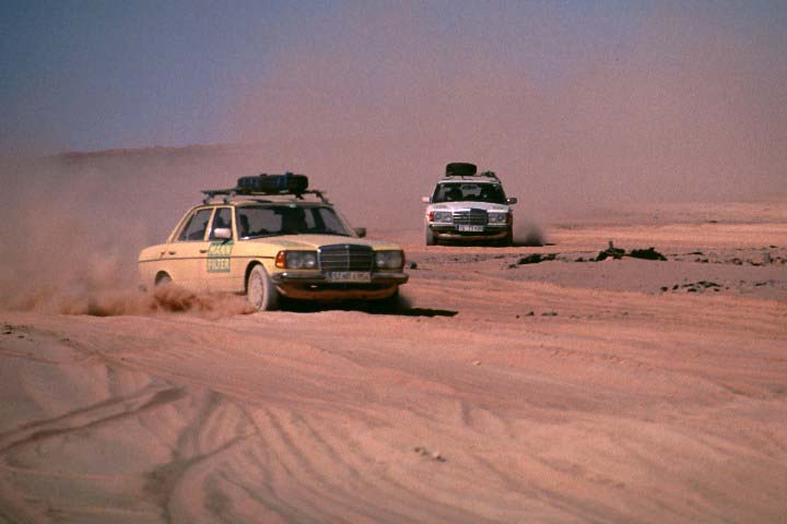 mb_w123_rallye_sahara_desert.jpg